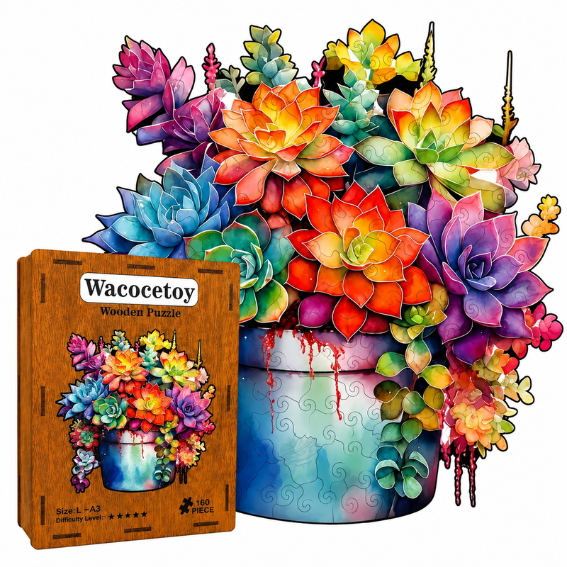 Drewniane Puzzle 3D Sukulenty Organizer Pudełko Prezent A3 160el edu