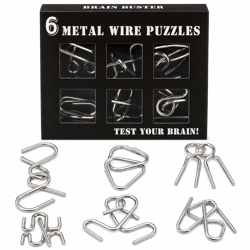 Metal Logical Puzzles Set of 6 Educational Puzzle Game for Gift